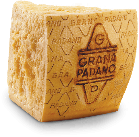 Grana Padano Cheese Imported from Italy / DOP