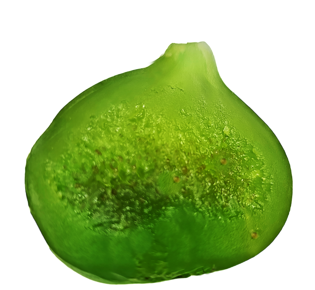 Cross section of our Candied Fig 