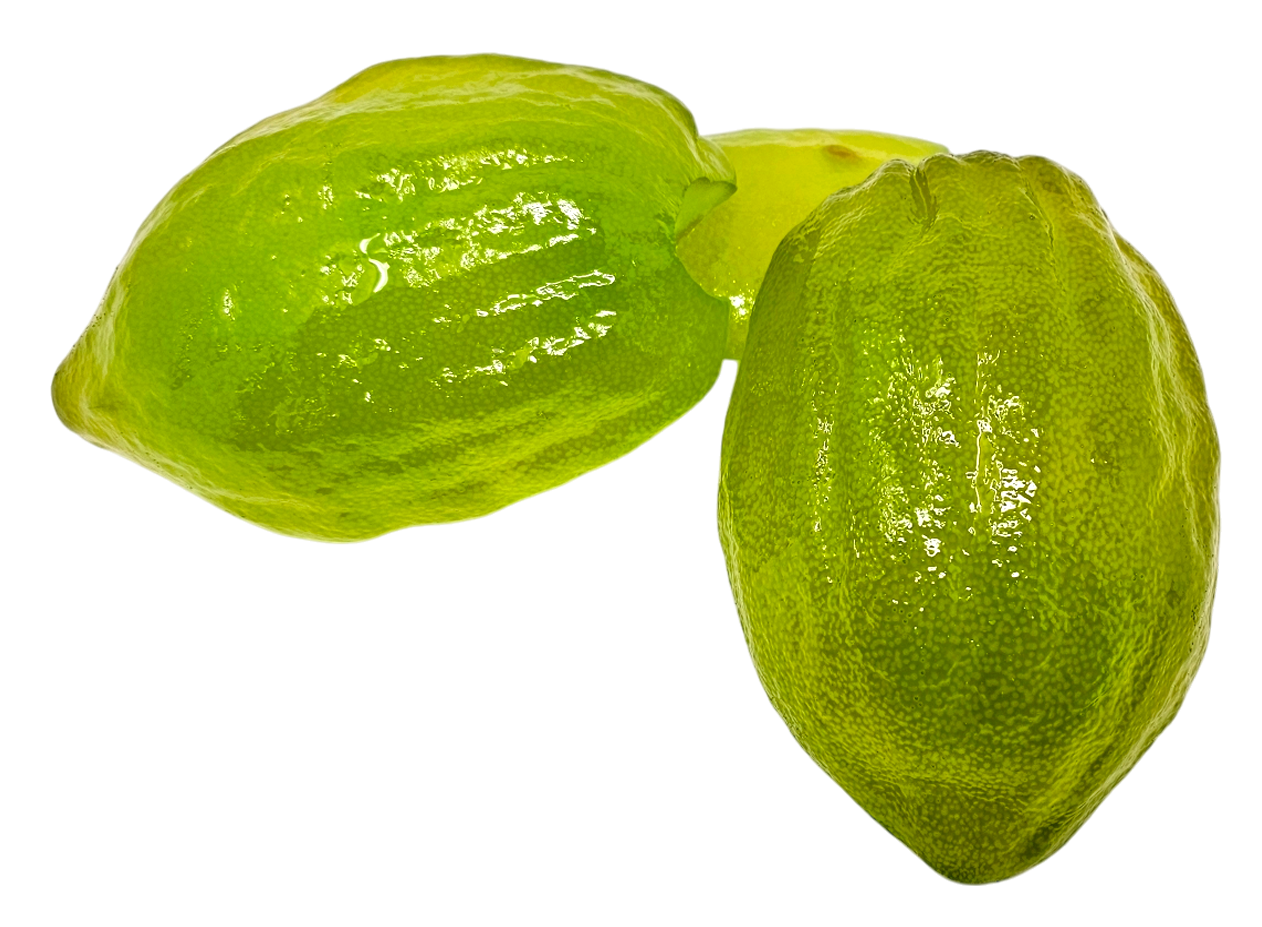 Whole Sicilian Citron