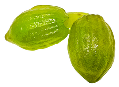 citronショップ❄︎ SUPER73-ZX | Comfortable Commuter