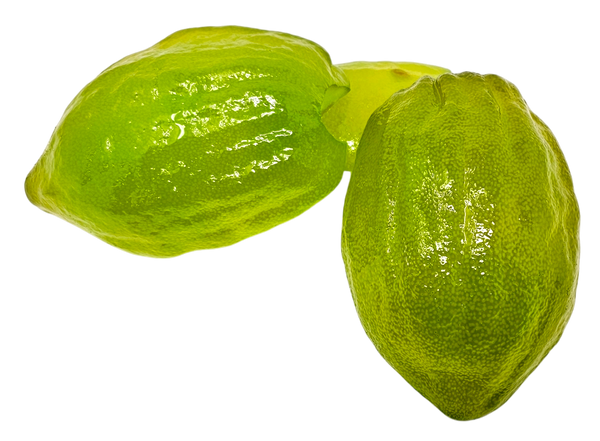 New_Citron_600x.png?v=1729609990