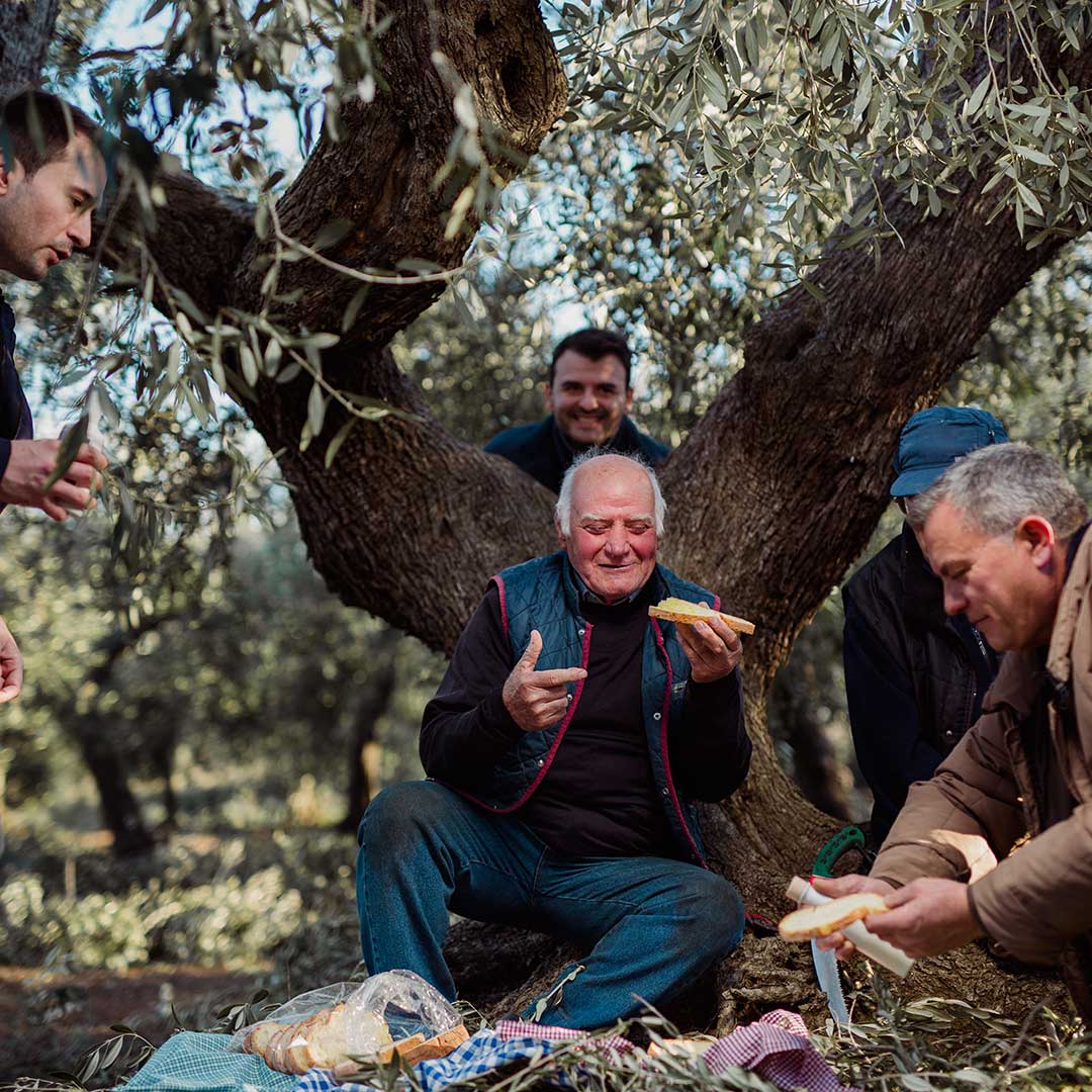 The Vallillo Family  sitting under an olive tree in a grove, eating bread with live Oil. 