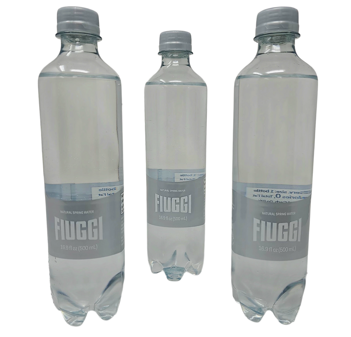 Beverage - Fiuggi Water To Go.16.9 Fluid Ounce Bottles. Convenient Plastic Bottle. 2 - 6 Packs